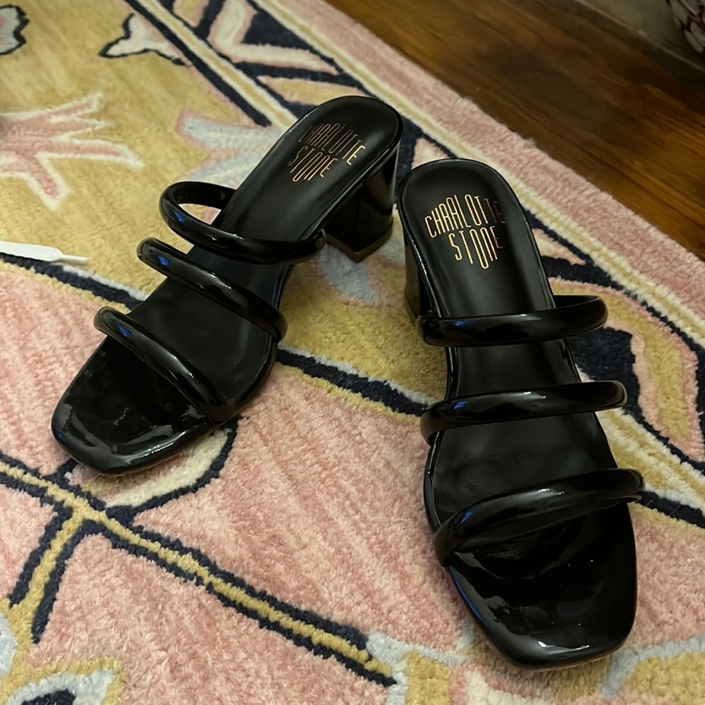 Charlotte Stone Black Mules